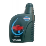 TAMOIL SINT FUT. ENERGY LT. 1